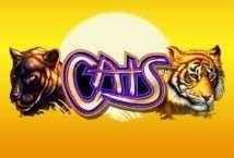 Revisión de la tragaperras Cats Slot Review