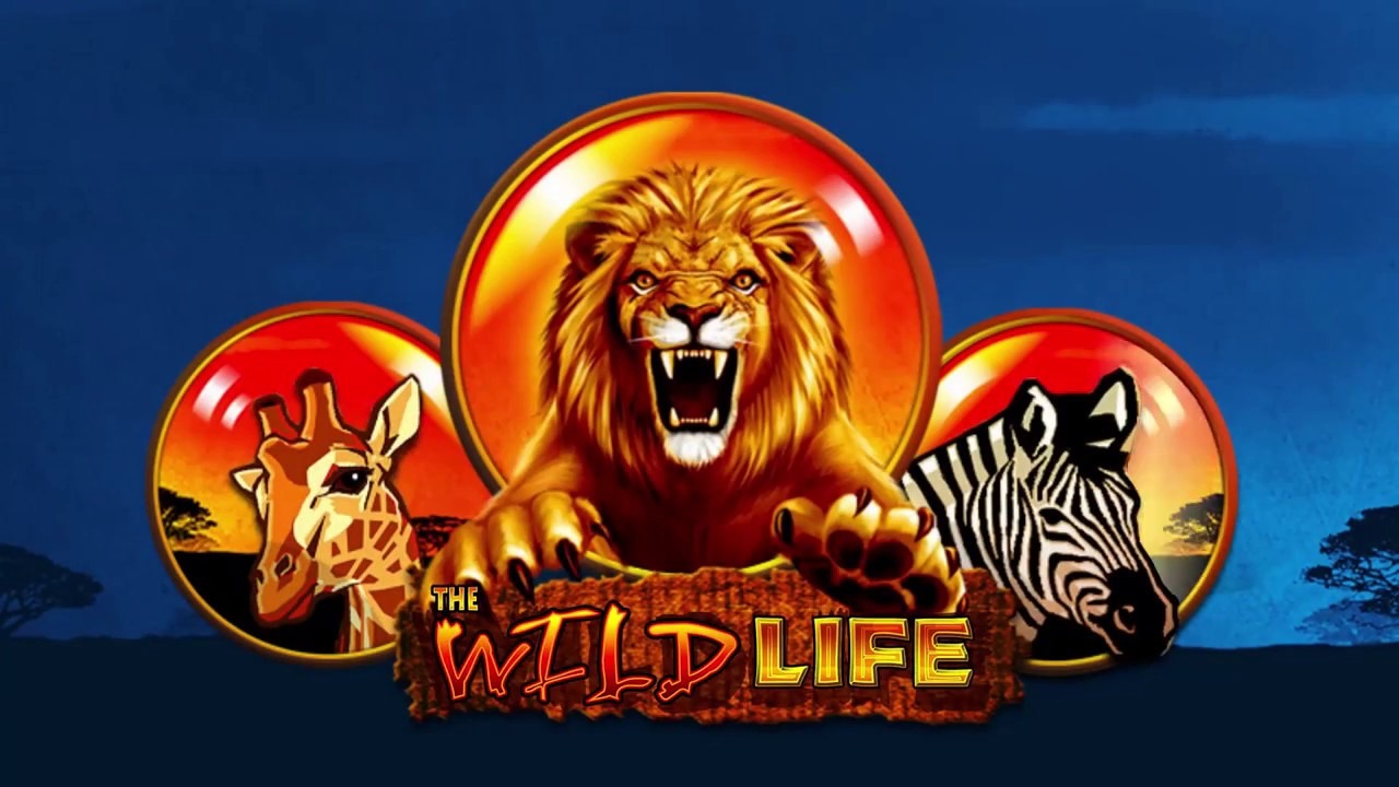 Wild Life Slot Review