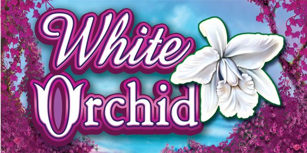 Revisão da White Orchid Slot Review